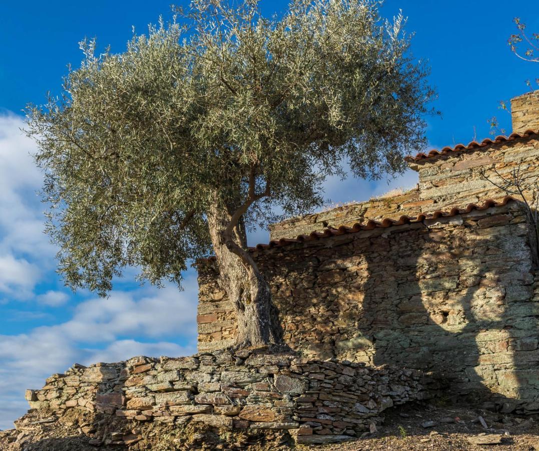Dois Lagares House Bed & Breakfast Pinhao Luaran gambar