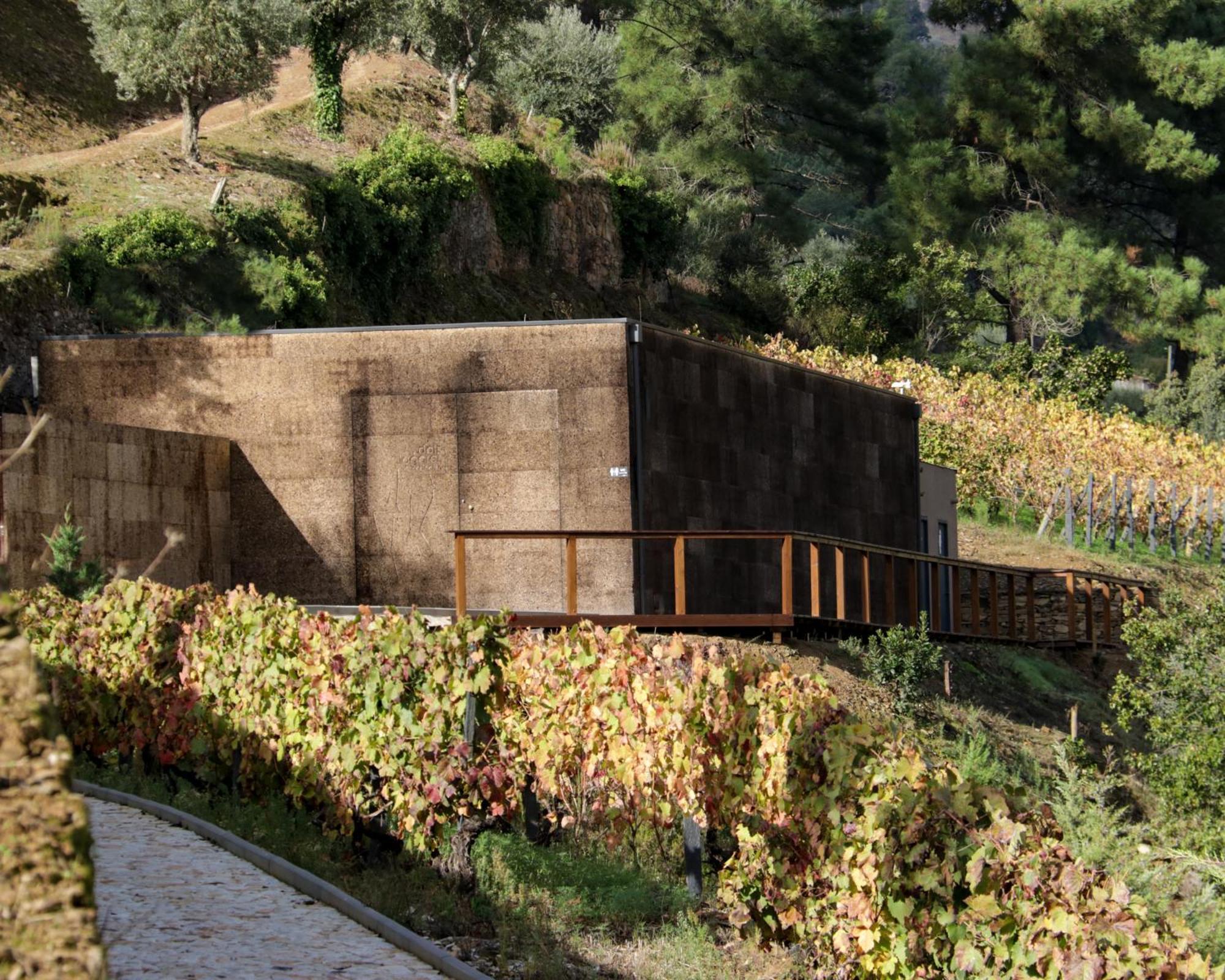 Dois Lagares House Bed & Breakfast Pinhao Luaran gambar
